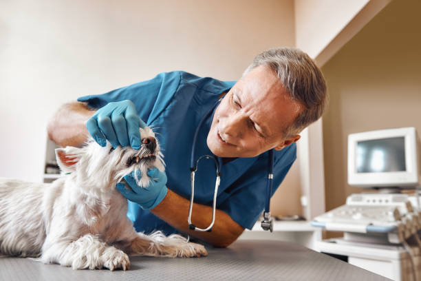 Best 24-Hour Emergency Dentist in Fredericktown, OH